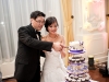 Bride and groom cut the cake