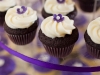 Delicious mini cupcakes ready to eat