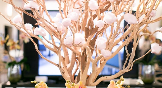 Interactive cotton candy tree