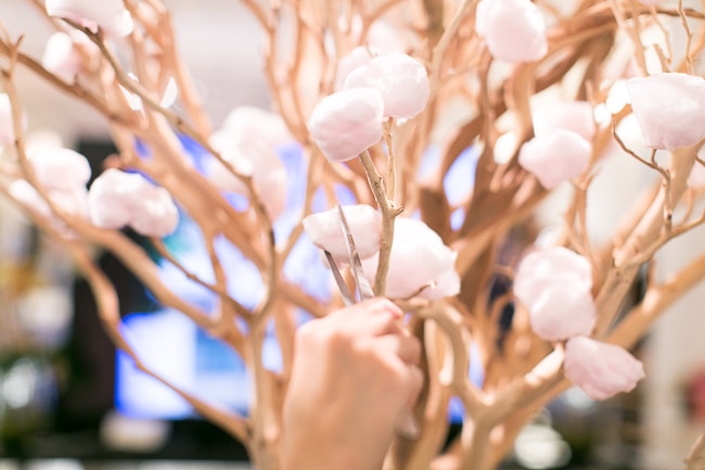 Interactive cotton candy tree