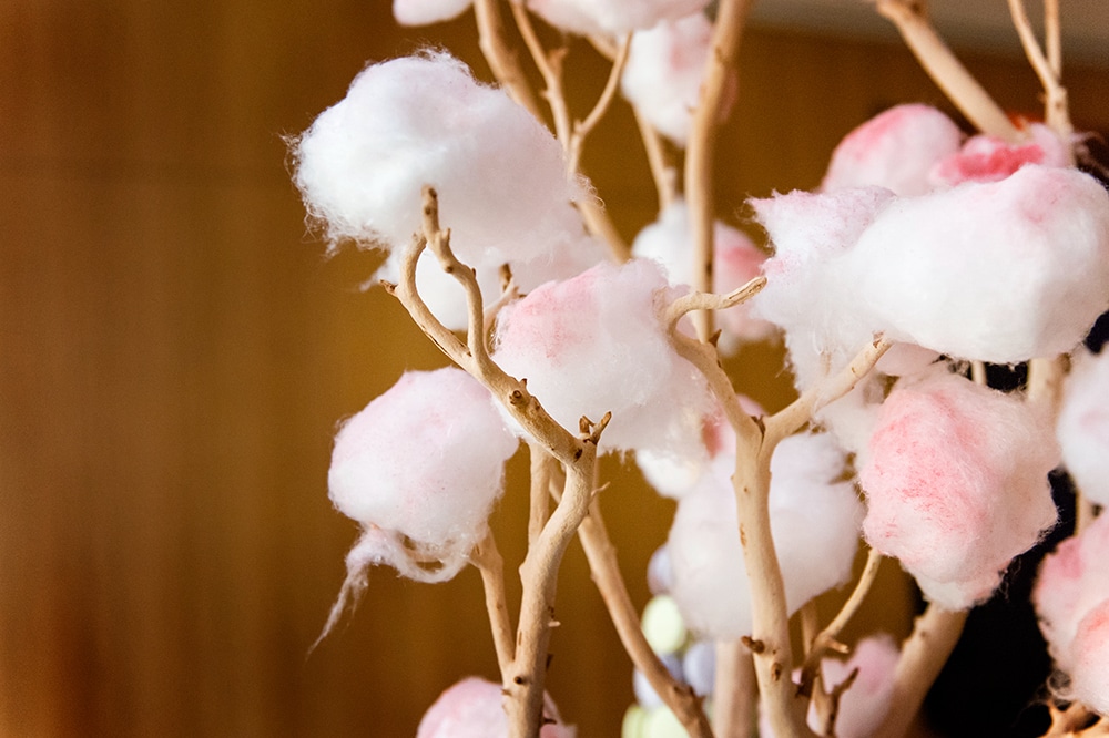 Shangri-La Hotel Toronto Wedding with cherry blossoms  - Cotton Candy tree