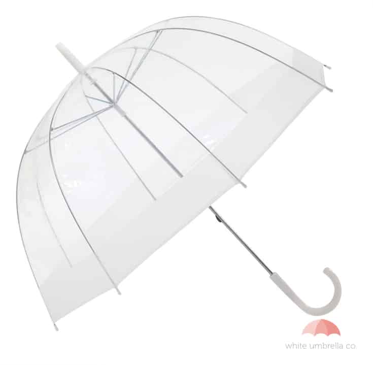 White Umbrella Co – white clear bubble umbrella Toronto