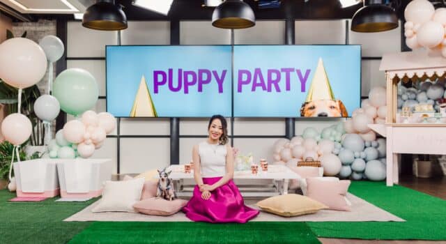 Cityline: How to throw the ultimate puppy party