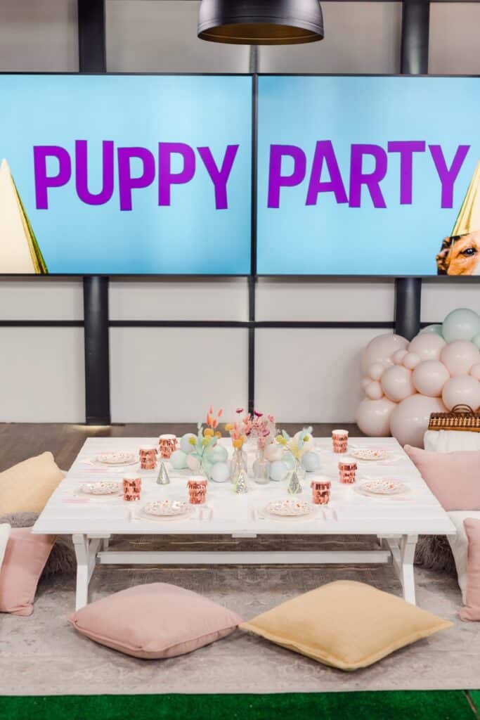 Cityline - How to throw the ultimate puppy party. Picnic tables for the party.